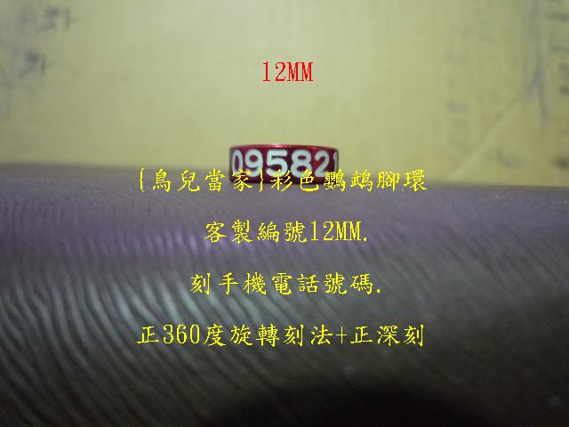 P1140276.JPG