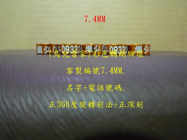 P1140435.JPG