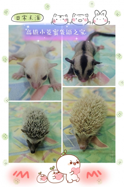8月16日.jpg