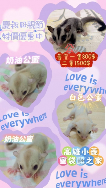 5月13日.jpg