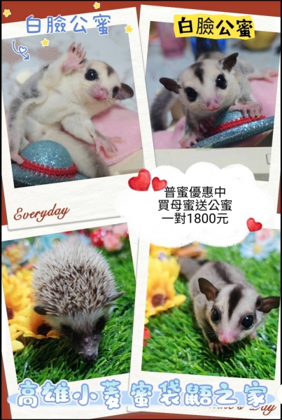6月24日.jpg