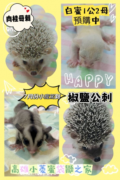 7月18日.jpg
