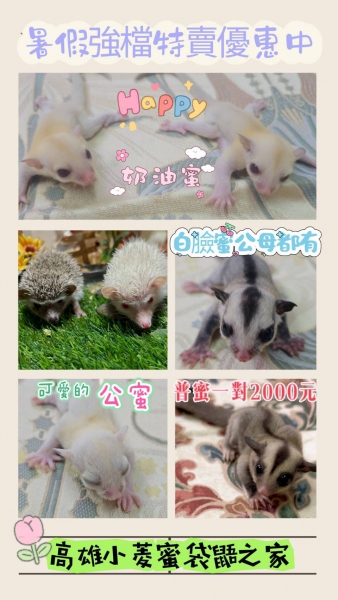 6月.jpg