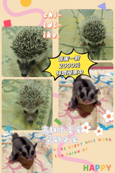 9月.jpg
