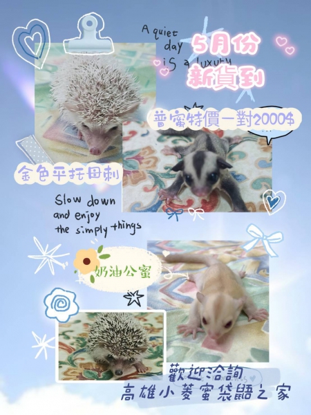 5月18日.jpg