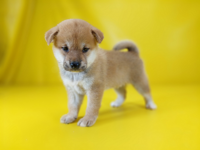 20250602_000056_调整大小.jpg