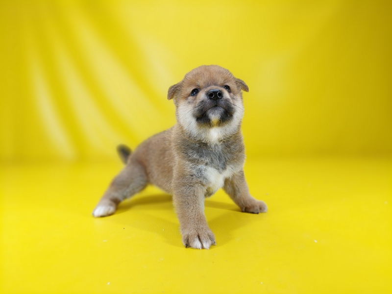 20250602_000240_调整大小.jpg