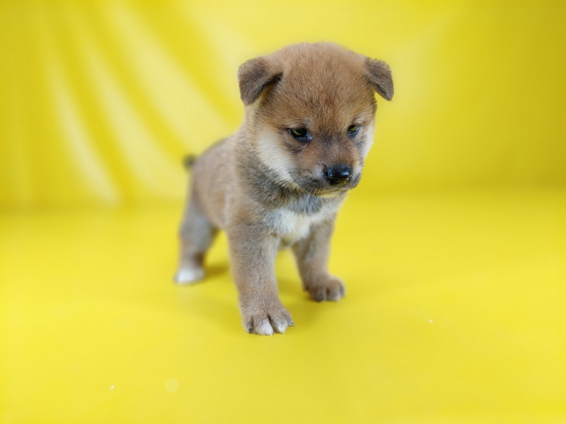 20250602_000249_调整大小.jpg