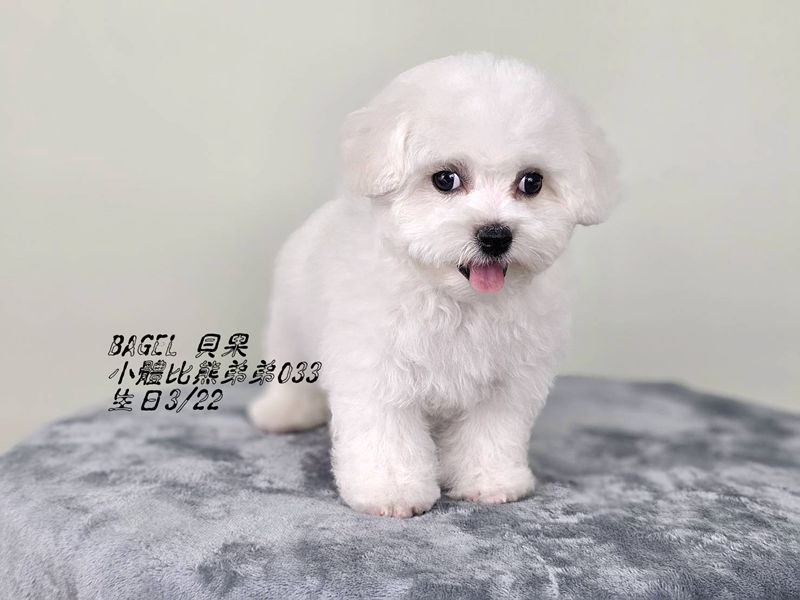 0604105.jpg