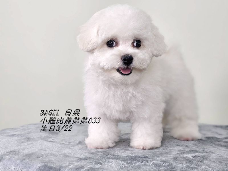 0604103.jpg