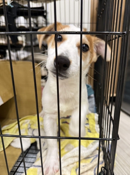 S__38772749 (1) (1).jpg