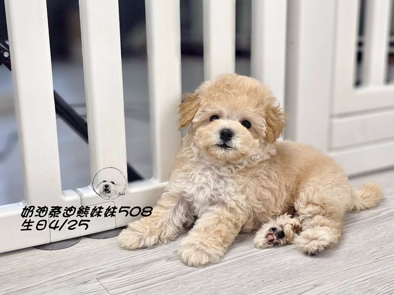 0617203.jpg