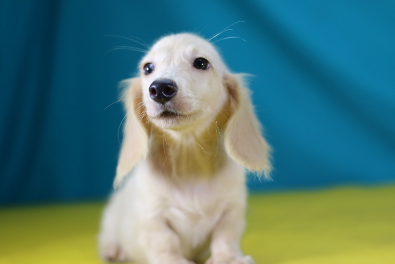 IMG_1988_调整大小.JPG