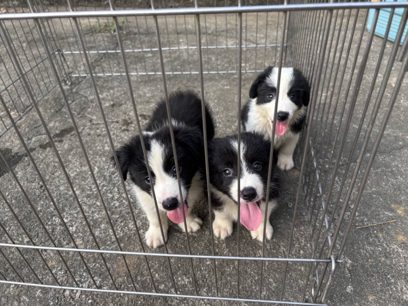 1791262819730.jpg