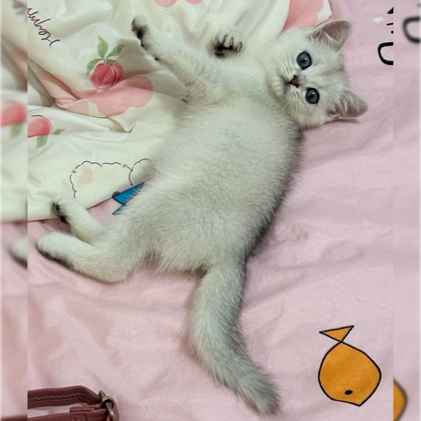 S__91480067.jpg