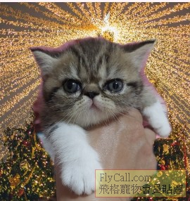Screenshot_20250624_213013_Background Eraser - Remove BG (1).jpg