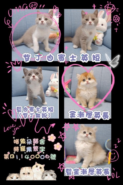 MEITU_20250821_180921882_copy_460x691.jpg