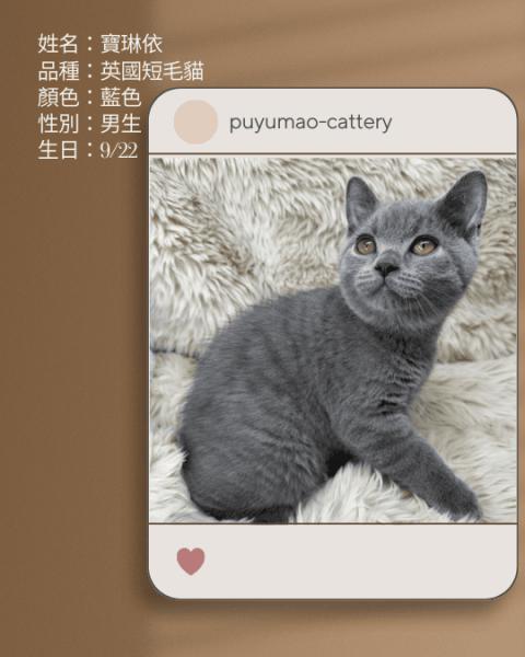 噗呦貓貓舍 (21).png