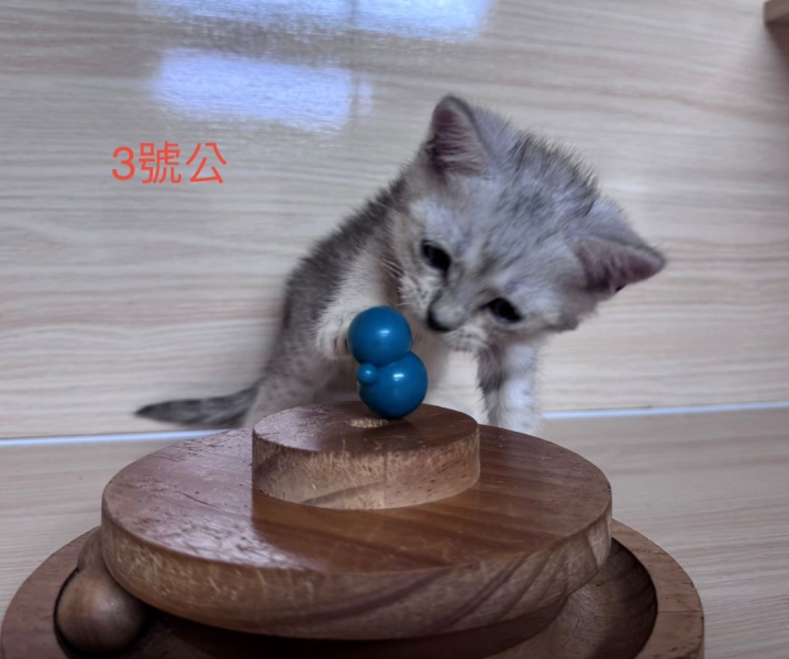 23.jpg