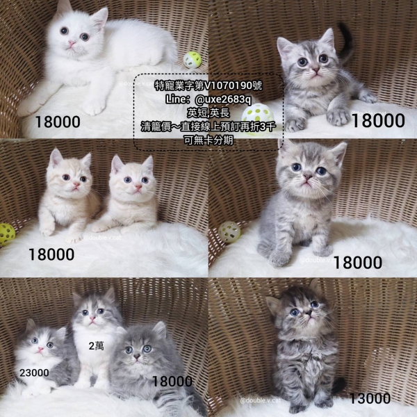 1782343930696.jpg