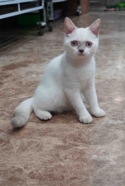 LINE_ALBUM_重點飛格_260907_2.jpg