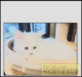 螢幕擷取畫面 2025-07-08 094655.png