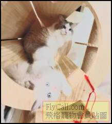 螢幕擷取畫面 2025-07-08 094637.png