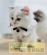 Screenshot_20250826_144927_Gallery.jpg