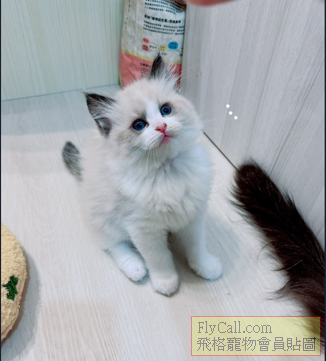 螢幕擷取畫面 2026-04-02 082312.png