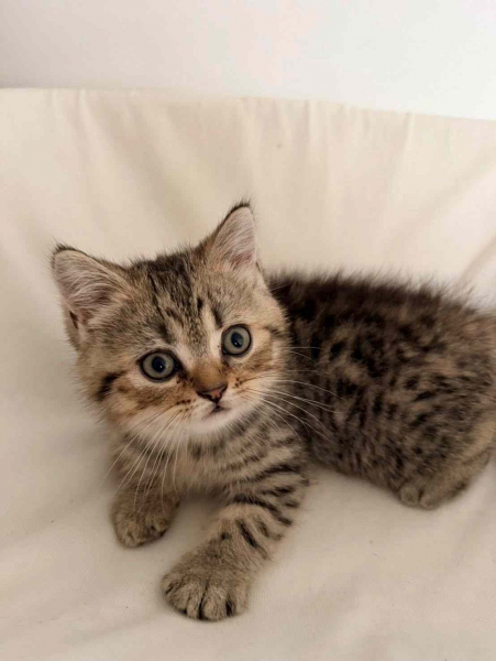 673118565_26996256443300047_4419628734242786095_n (2).jpg