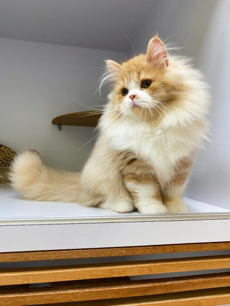 thumbnail06.jpg