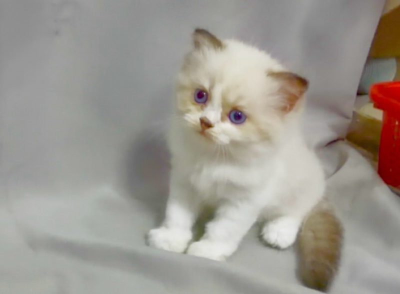 S__90390570_0.jpg