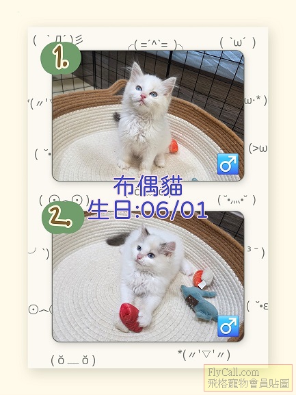 MEITU_20260906_140932252111.jpg