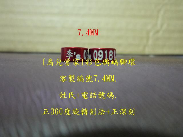P1130490.JPG