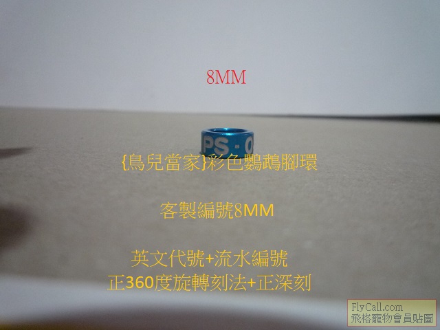 P1140771.JPG