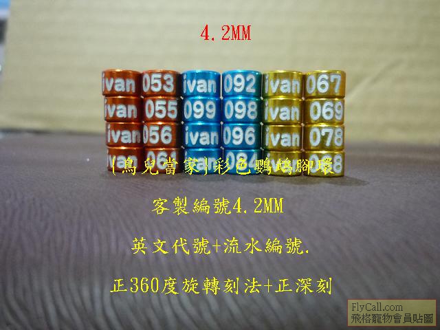 P1130400.JPG