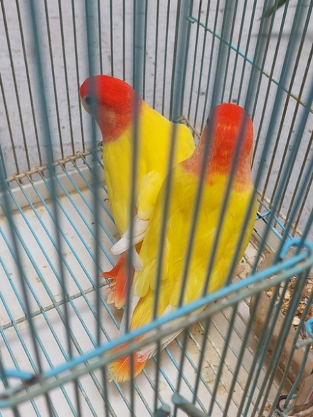 338979_0.jpg