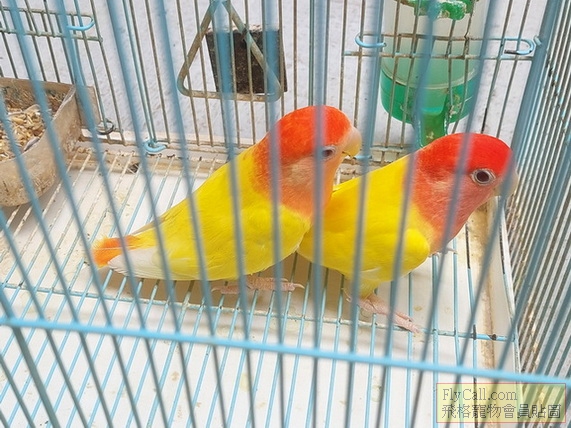 338977_0.jpg