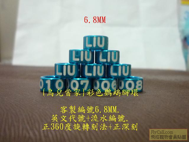 P1130004.JPG