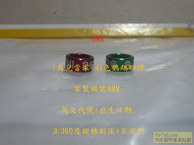 P1140779.JPG