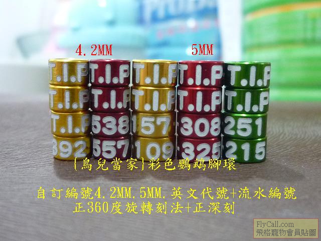 P1110676.JPG