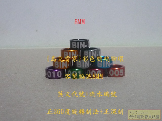 P1140787.JPG