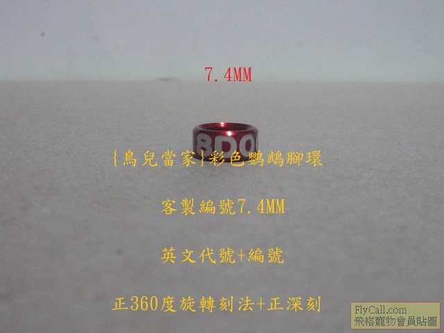 P1140789.JPG