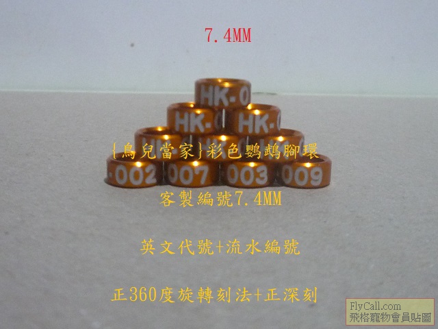 P1140791.JPG