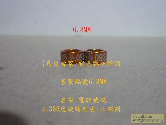 P1140794.JPG