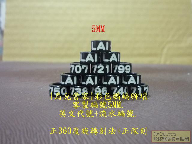 P1130056.JPG