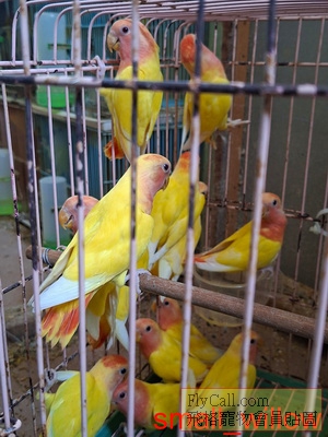 63003_0.jpg