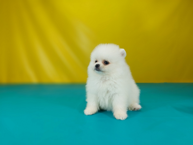 20250602_002738_调整大小.jpg