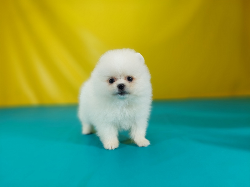 20250602_002636_调整大小.jpg