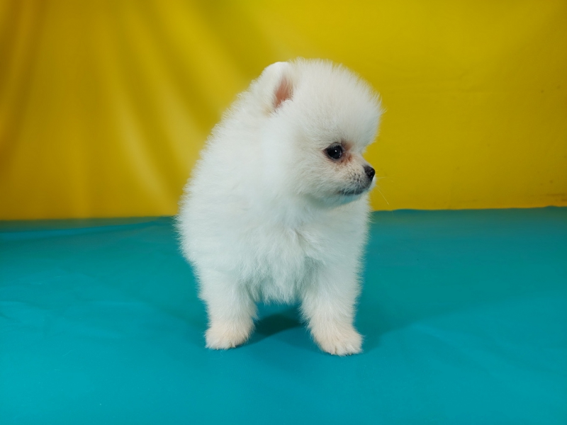 20250602_002158_调整大小.jpg